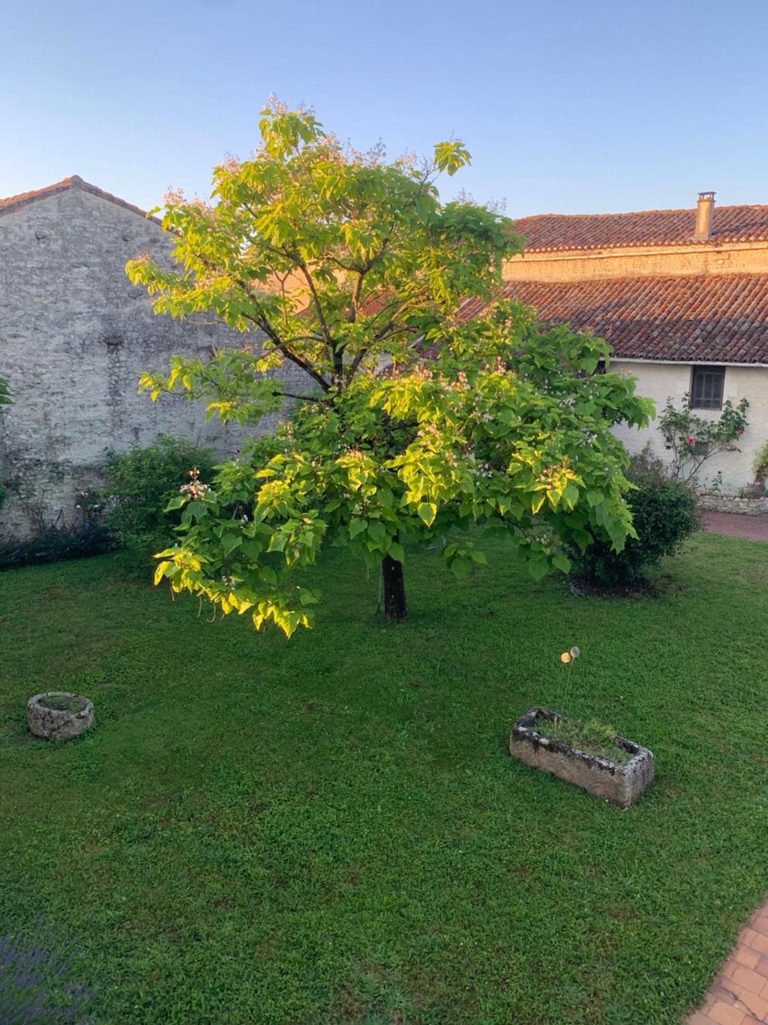 The Cool Lounge A Coulonges - Charente Bed and Breakfast Exteriör bild