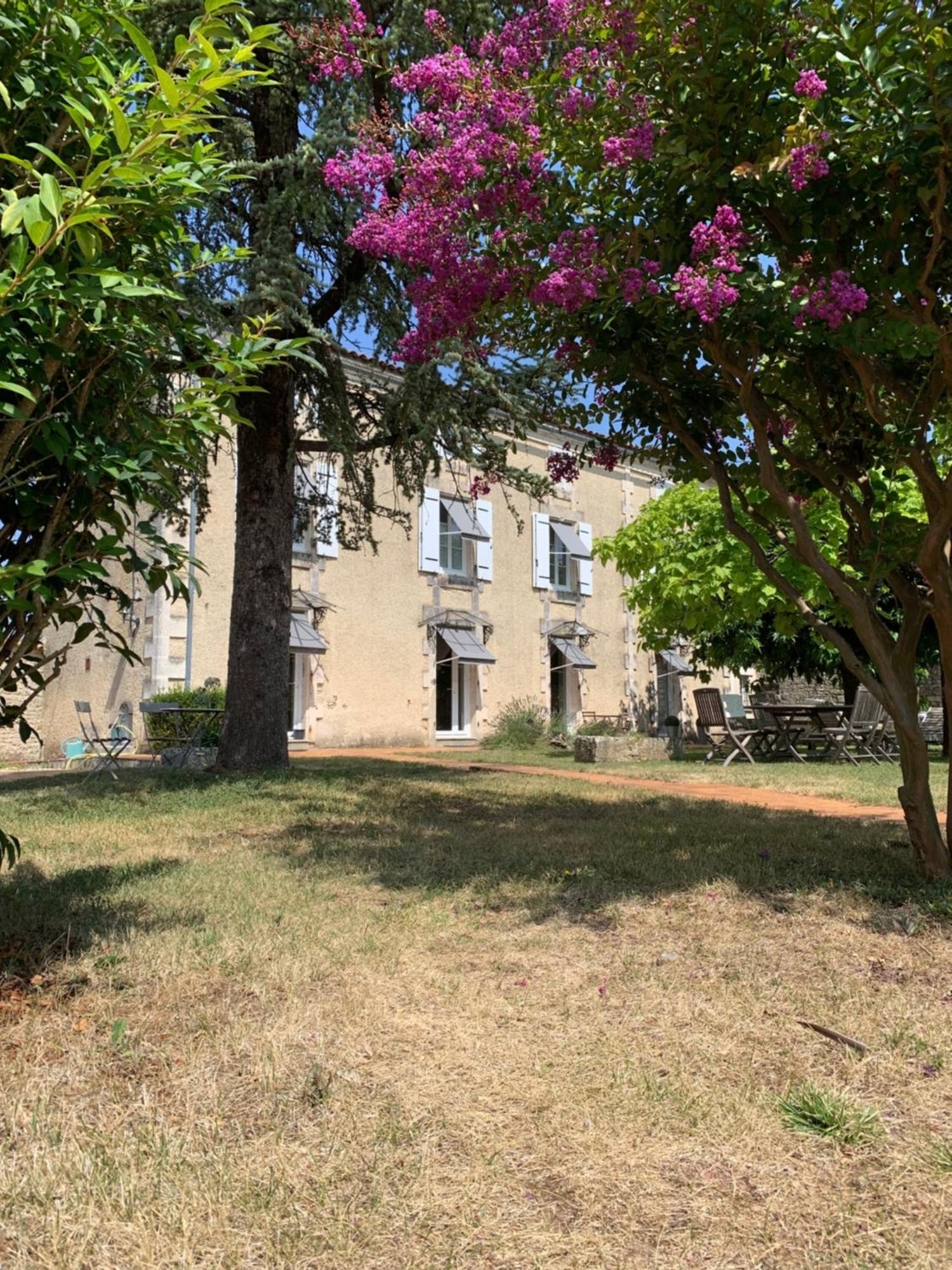 The Cool Lounge A Coulonges - Charente Bed and Breakfast Exteriör bild