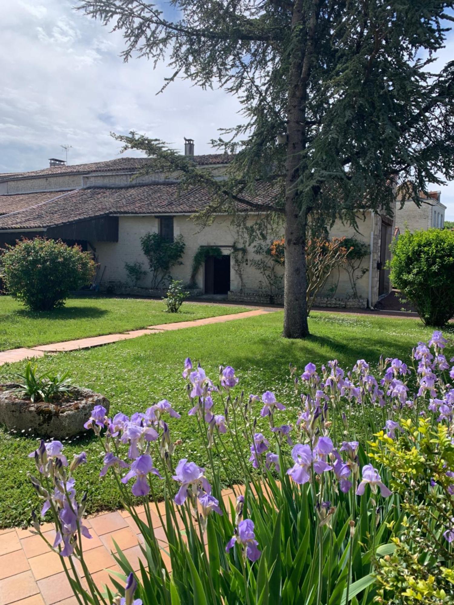 The Cool Lounge A Coulonges - Charente Bed and Breakfast Exteriör bild