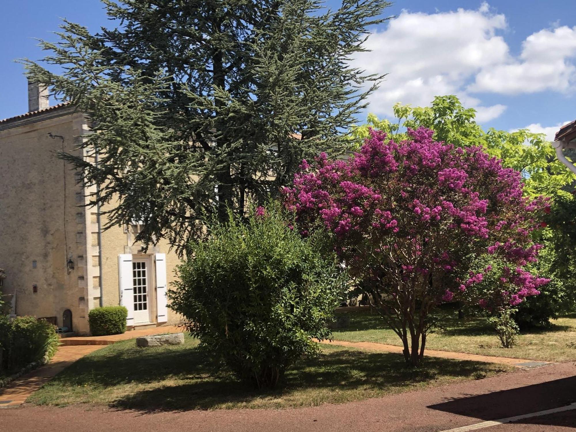 The Cool Lounge A Coulonges - Charente Bed and Breakfast Exteriör bild